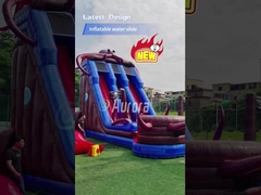 ปลาหมึกน้ําอัดลม สระว่ายน้ําขนาดเล็ก สวนหลัง