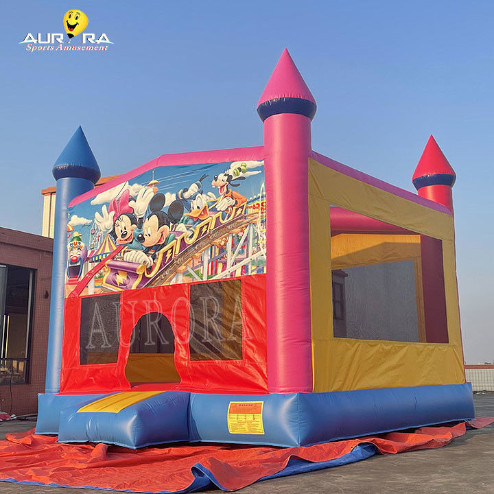กลางแจ้งพาณิชย์ inflatable bouncer PVC สีสันเด็กผู้ใหญ่กระโดดปราสาท
